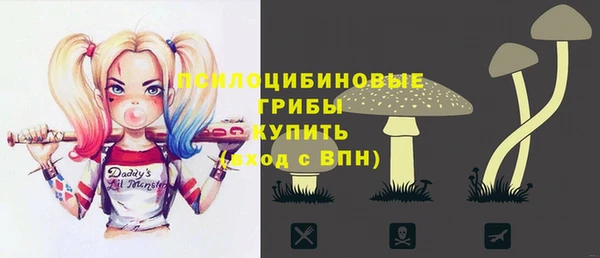 тгк Медногорск