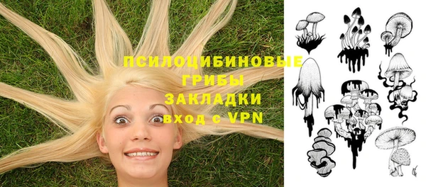 тгк Медногорск
