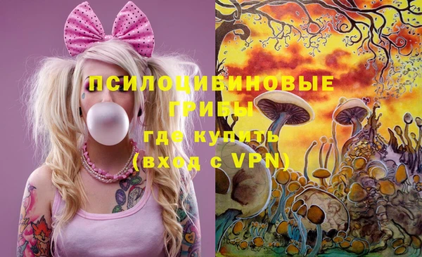 не бодяженный Магадан
