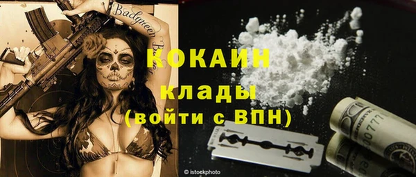 тгк Медногорск