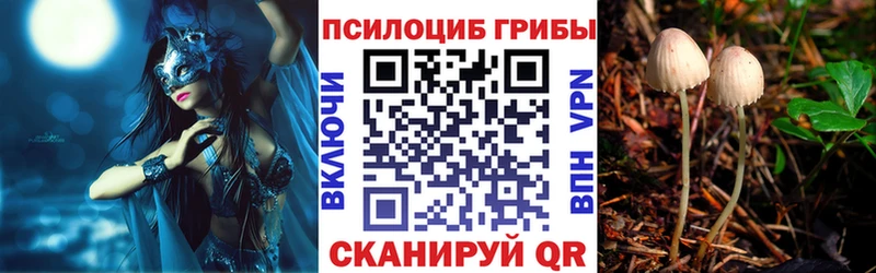 Галлюциногенные грибы GOLDEN TEACHER  Старый Крым 